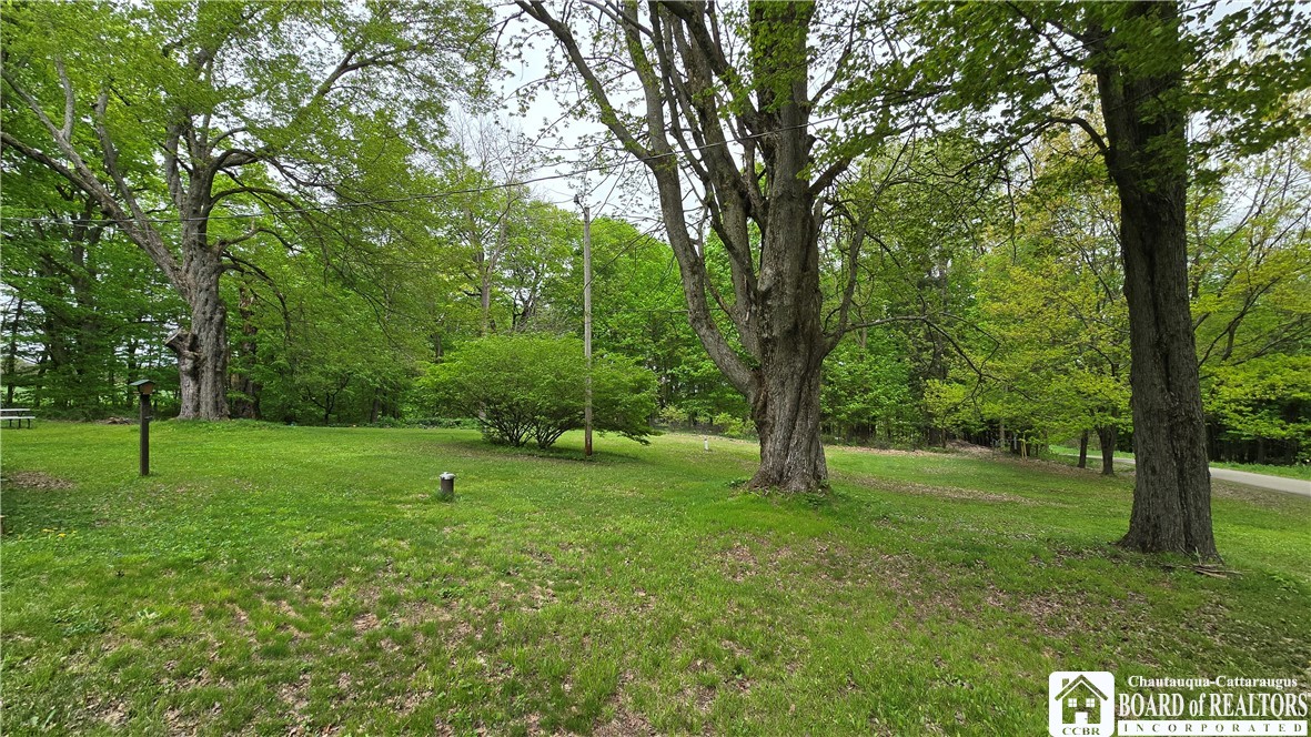 806 Weaver Road, Cherry Creek, New York image 31