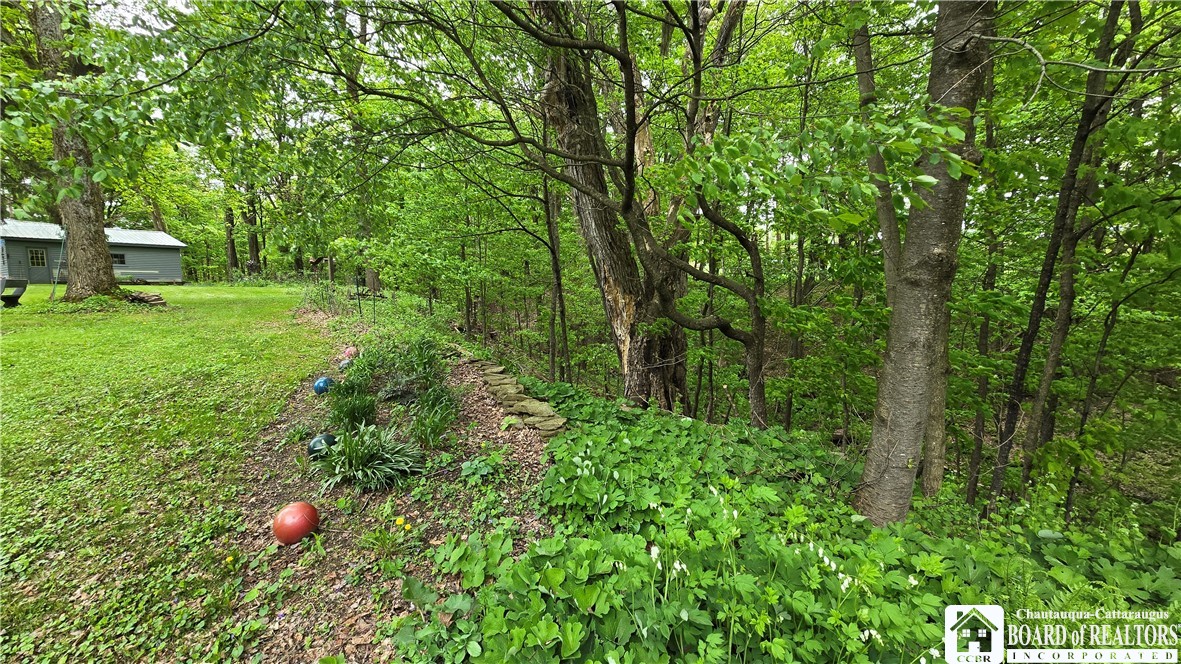806 Weaver Road, Cherry Creek, New York image 33