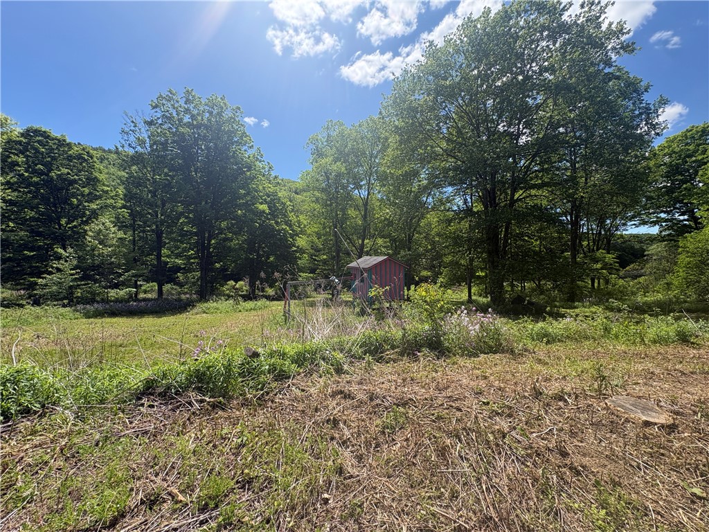 5386 County Route 11