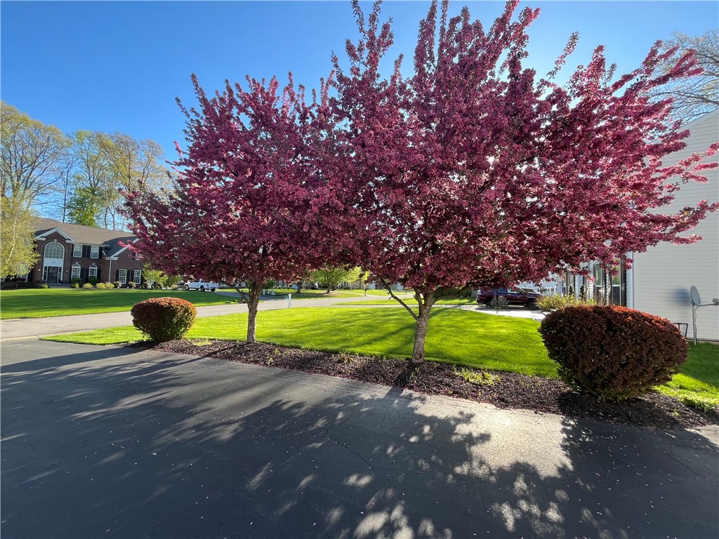 529 Deer Haven Drive, Webster, New York image 6
