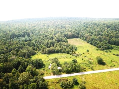 Photo of 619 Gifford Hill Road, Milford, NY 13820 (MLS # R1629885)
