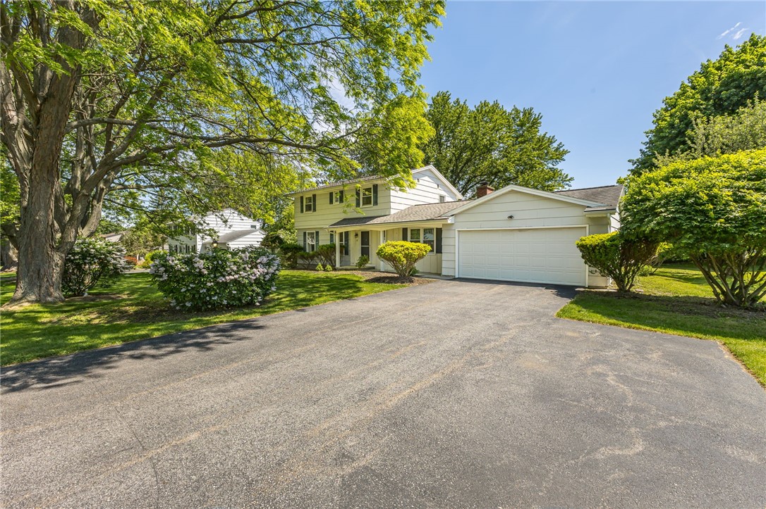 12 Blue Spruce Lane