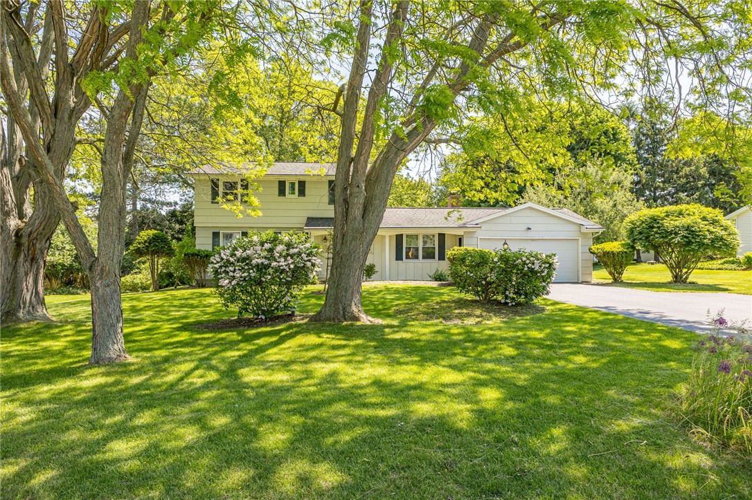 12 Blue Spruce Lane