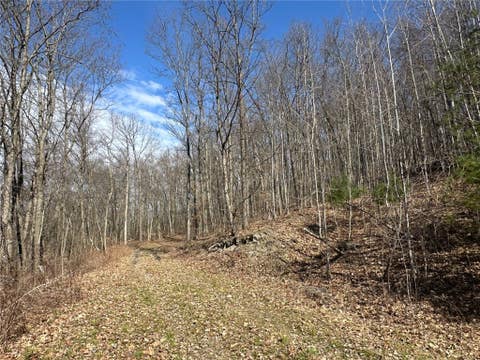 Vacant Land For Sale - O Brien Road<br/> Bath, NY 14879