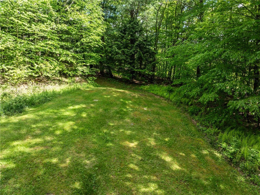 171 Turk Hill Road, Roxbury, New York image 23