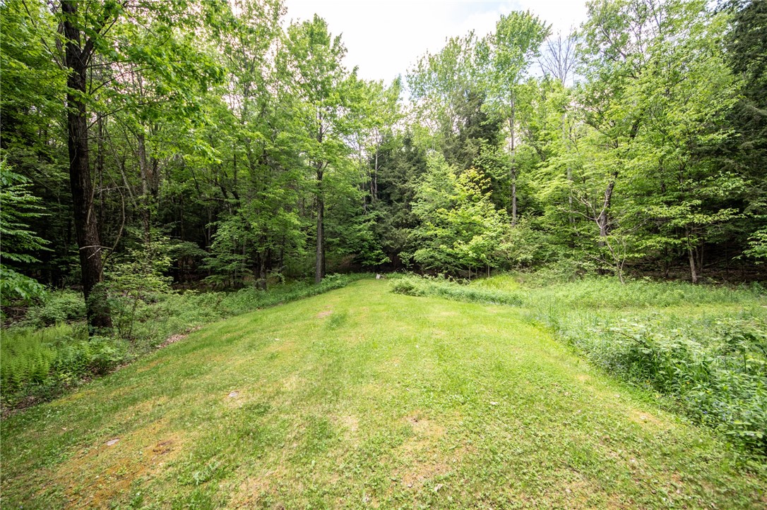 171 Turk Hill Road, Roxbury, New York image 25