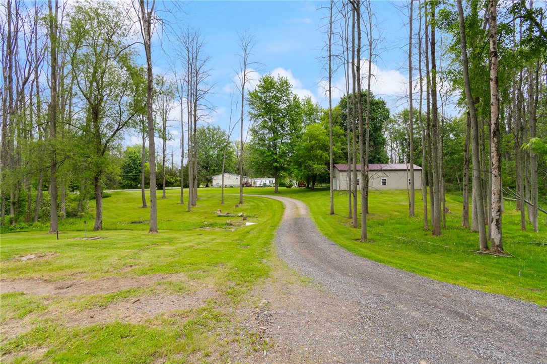 7698 Ridge Road, Sodus, New York image 4