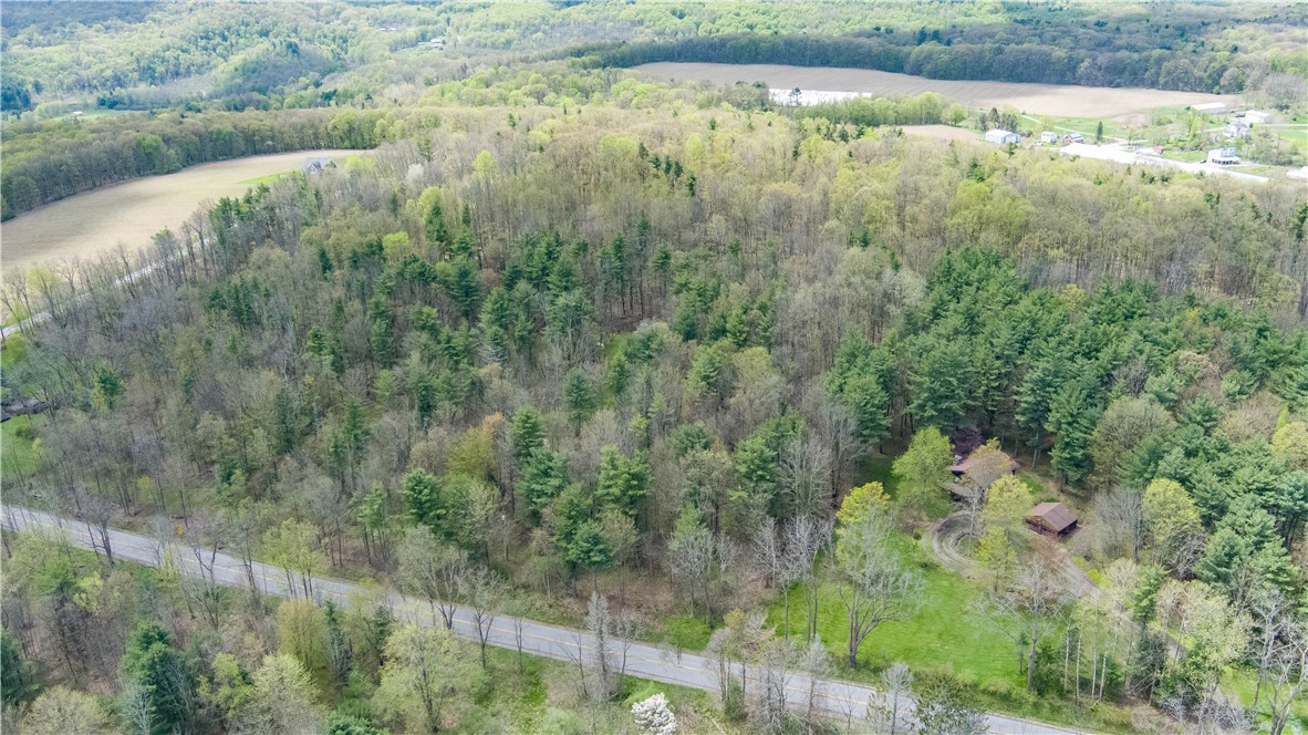 Gulick Road, Naples, New York image 19