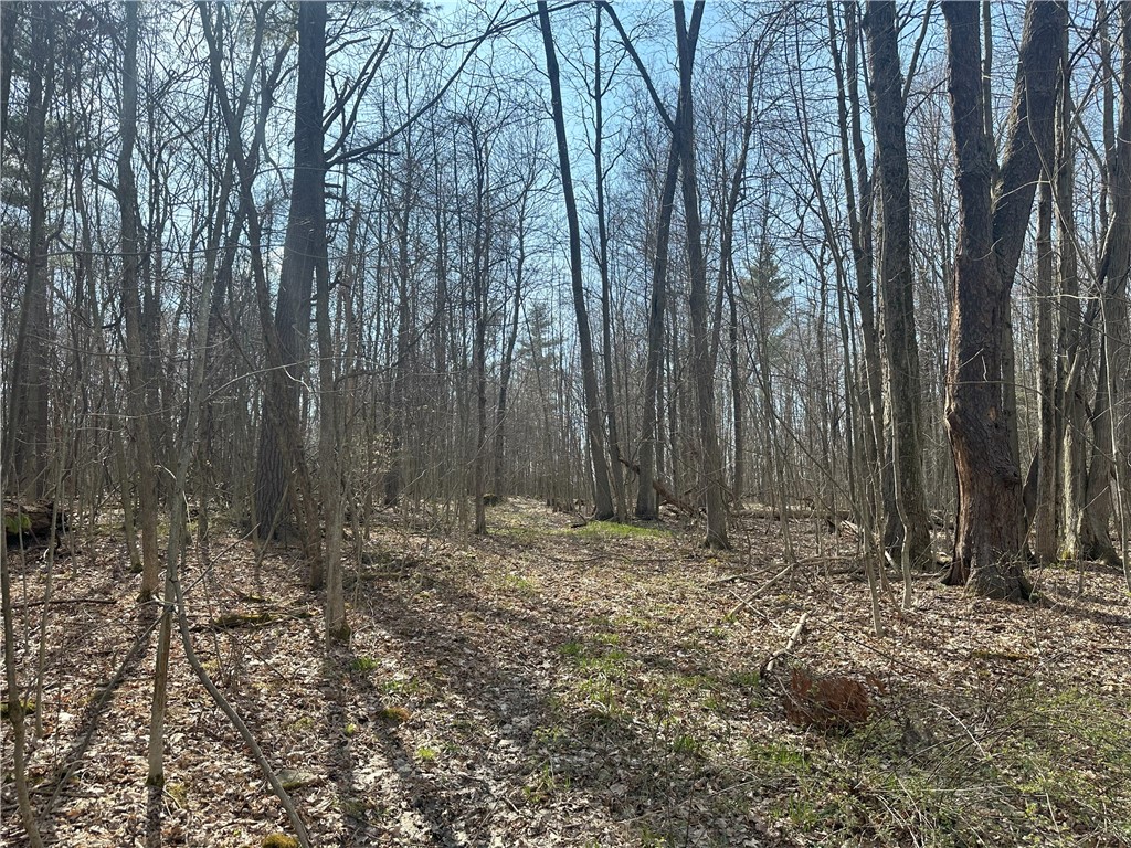 Gulick Road, Naples, New York image 14