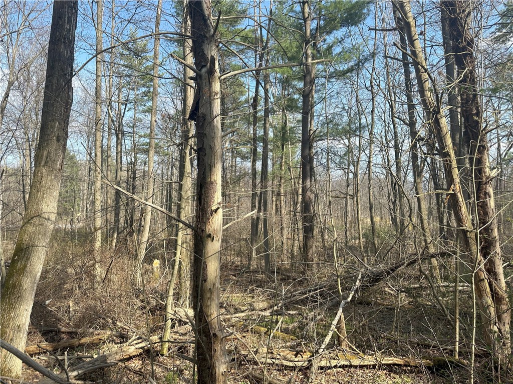 Gulick Road, Naples, New York image 7
