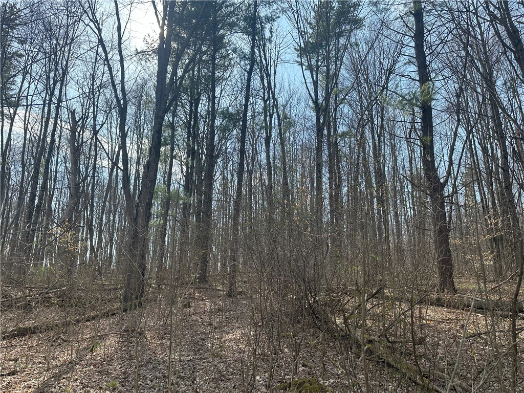Gulick Road, Naples, New York image 8