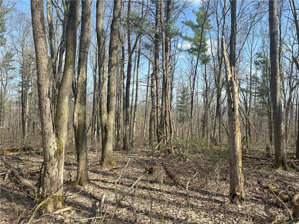 Gulick Road, Naples, New York image 11