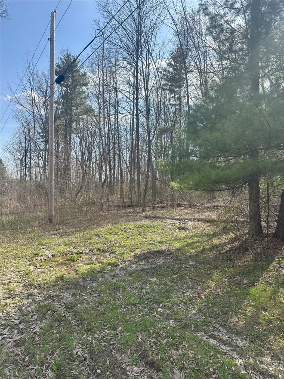 Gulick Road, Naples, New York image 6