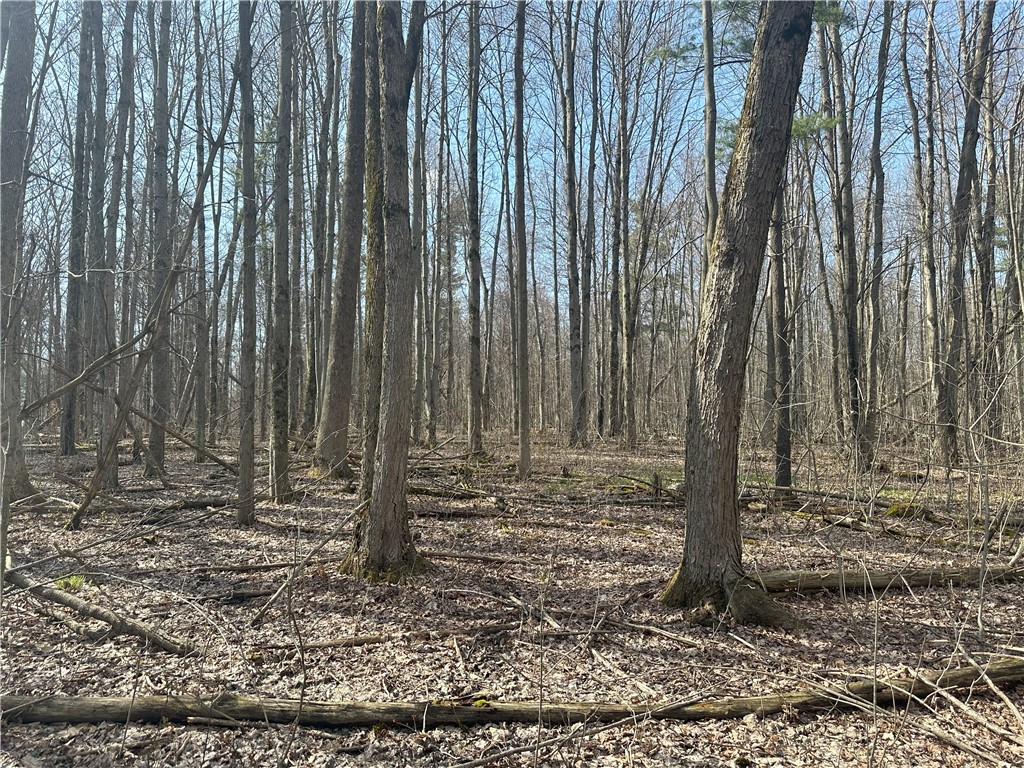 Gulick Road, Naples, New York image 9