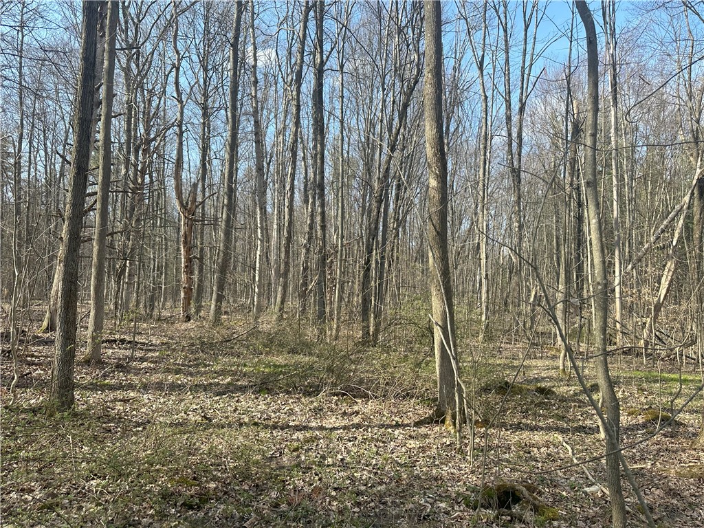 Gulick Road, Naples, New York image 15