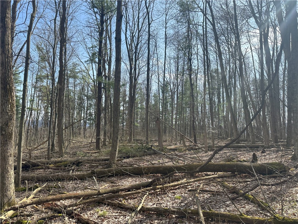 Gulick Road, Naples, New York image 10