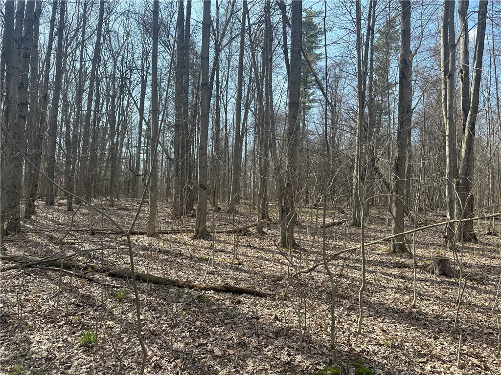 Gulick Road, Naples, New York image 12