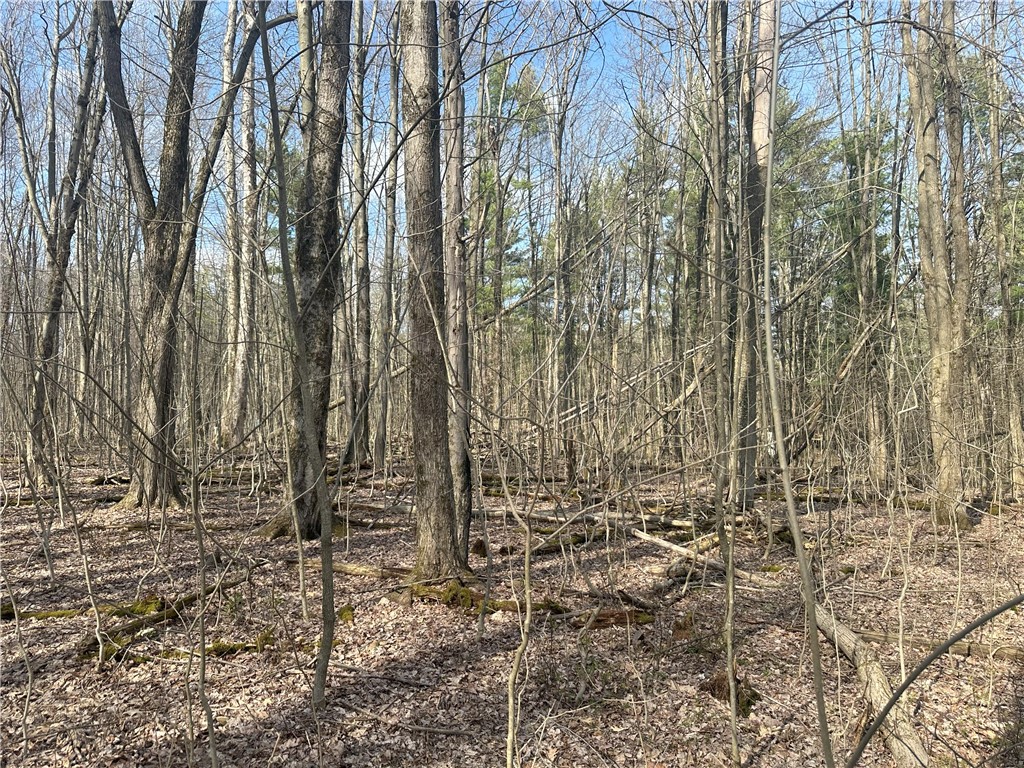 Gulick Road, Naples, New York image 13