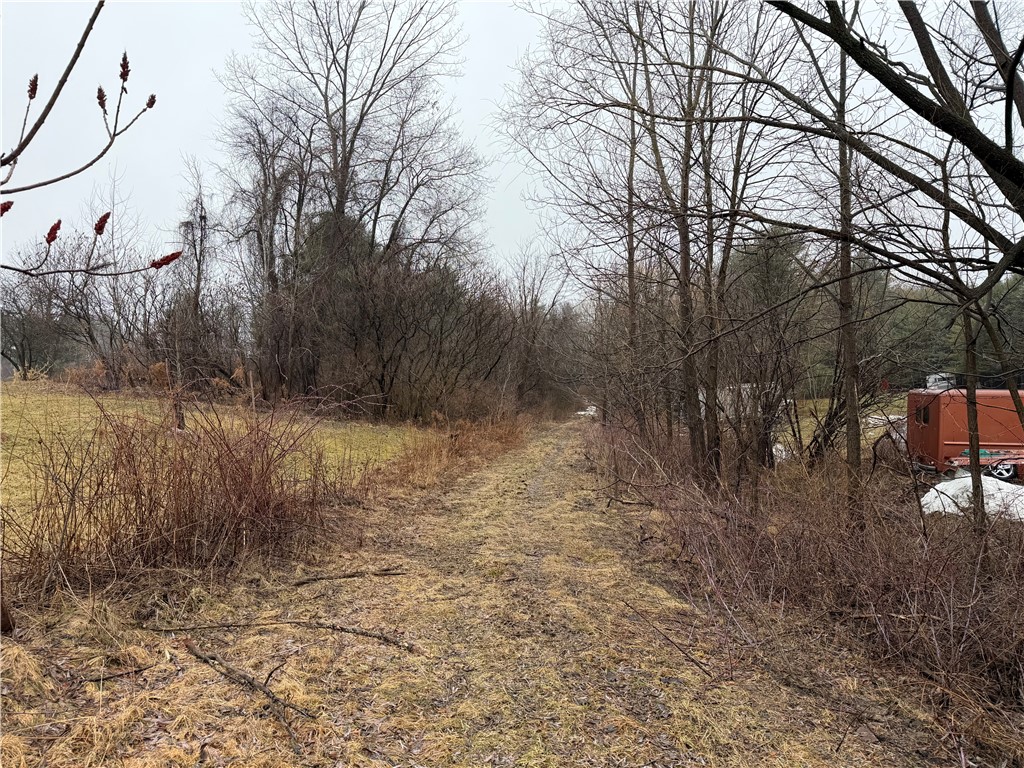 Lakemont Himrod Road