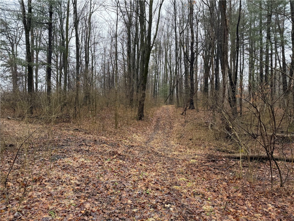 Lakemont Himrod Road