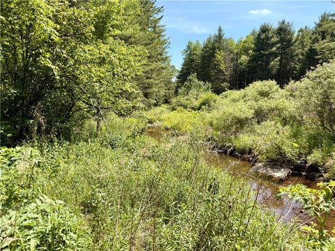 Vacant Land For Sale - Copes Corners Road<br/> Butternuts, NY 13776