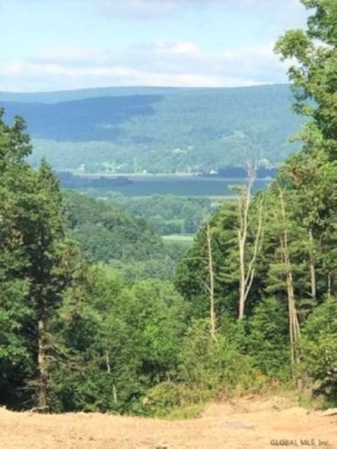 Vacant Land For Sale - Huntersland Road<br/> Middleburgh, NY 12122