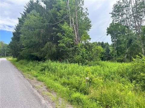 Vacant Land For Sale - LOT 4 Sisson Hill Road<br/> Unadilla, NY 13849