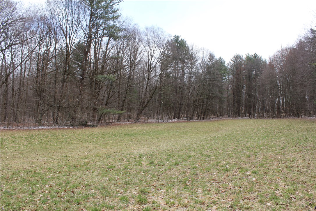 204 Ives Settlement Road, Guilford, New York image 36