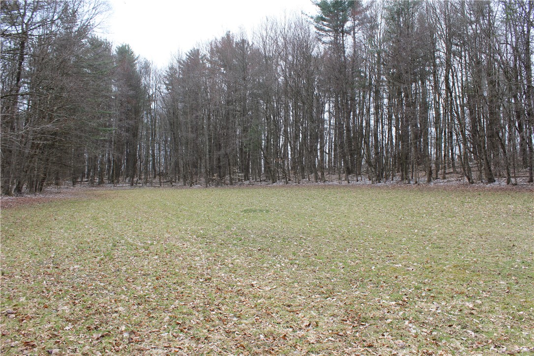 204 Ives Settlement Road, Guilford, New York image 38