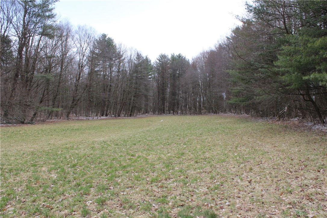 204 Ives Settlement Road, Guilford, New York image 35