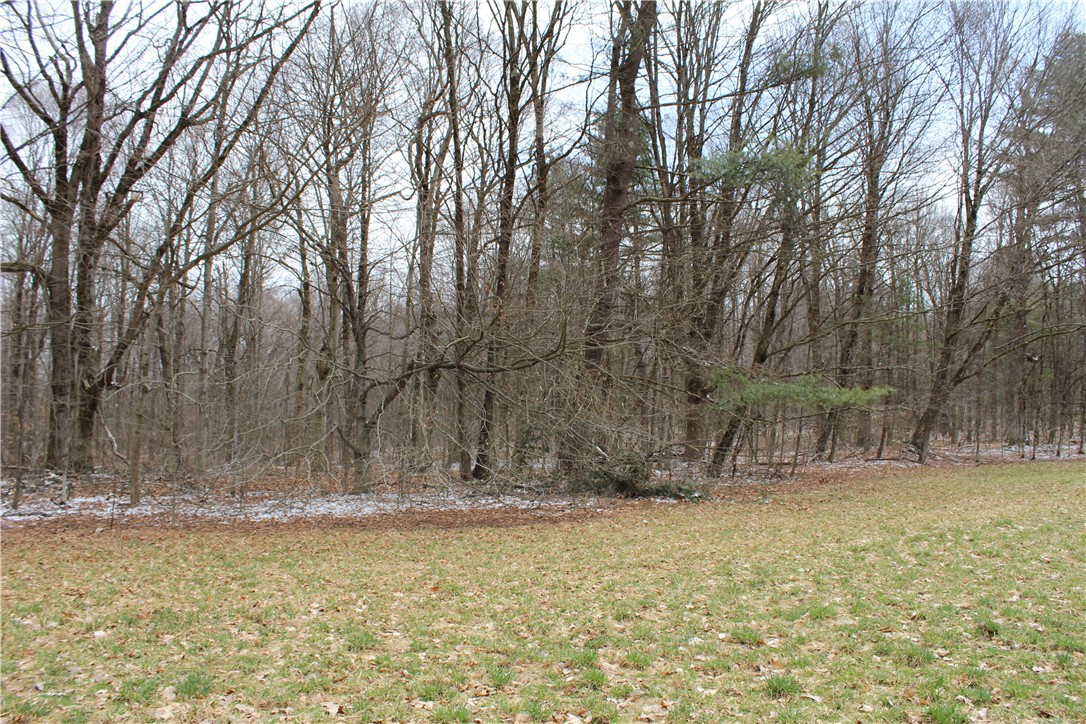 204 Ives Settlement Road, Guilford, New York image 37