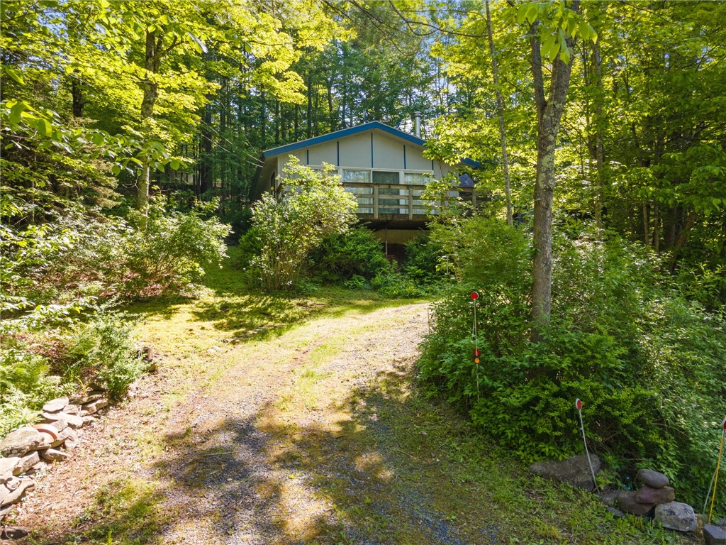 101 Hunter Lane, Hunter, New York image 1
