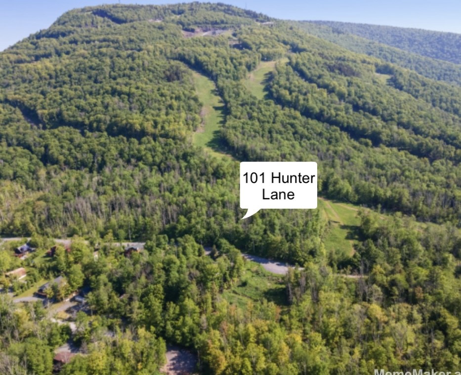 101 Hunter Lane, Hunter, New York image 27