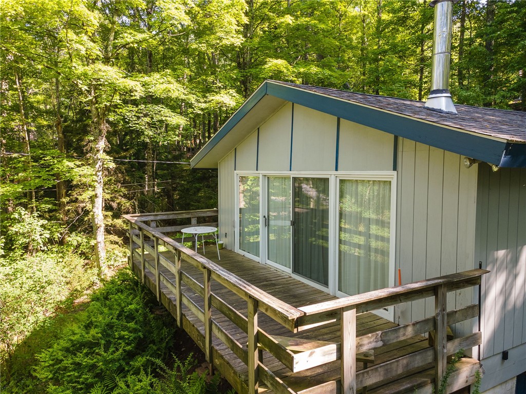 101 Hunter Lane, Hunter, New York image 3