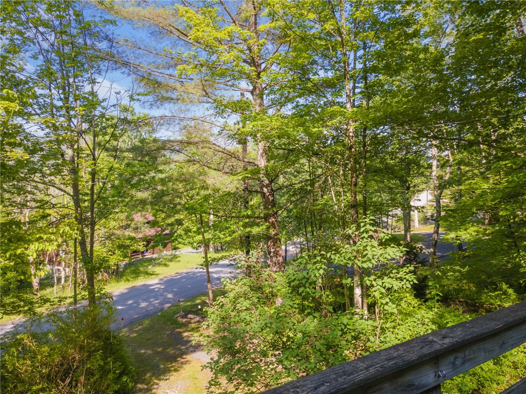 101 Hunter Lane, Hunter, New York image 4