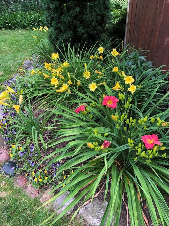 147 Hillside Avenue, Rochester, New York image 50