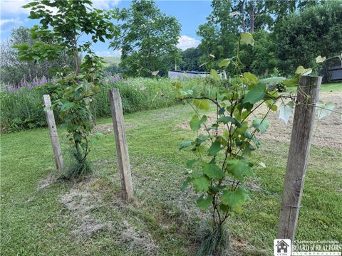 Tiny photo for 3087 County Route 6, Fremont, NY 14826 (MLS # R1695653)