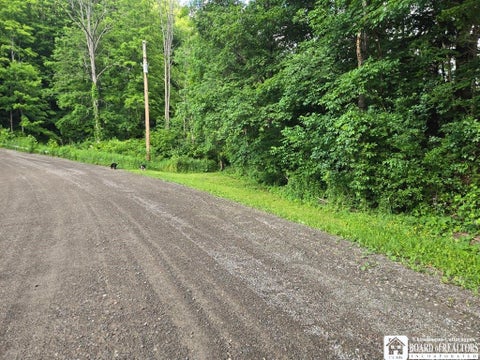 Tiny photo for 3087 County Route 6, Fremont, NY 14826 (MLS # R1695653)