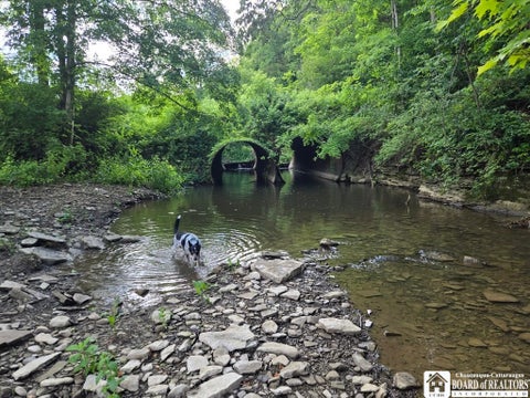 Tiny photo for 3087 County Route 6, Fremont, NY 14826 (MLS # R1695653)