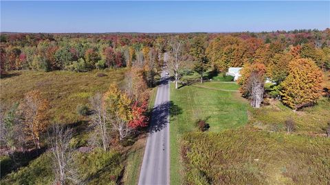Vacant Land For Sale - 287 White Road<br/> Parish, NY 13131