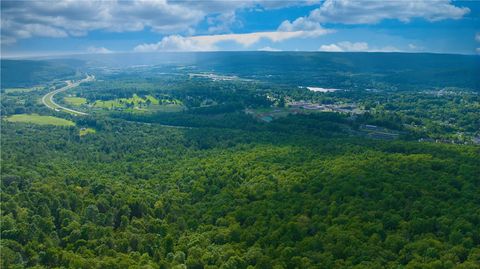 Vacant Land For Sale - Pine Hill Road<br/> Sidney, NY 13838