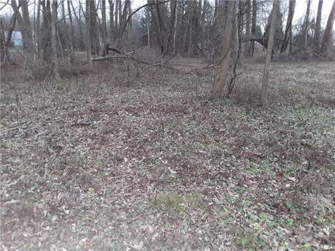 Photo for 6390 Laurel Drive