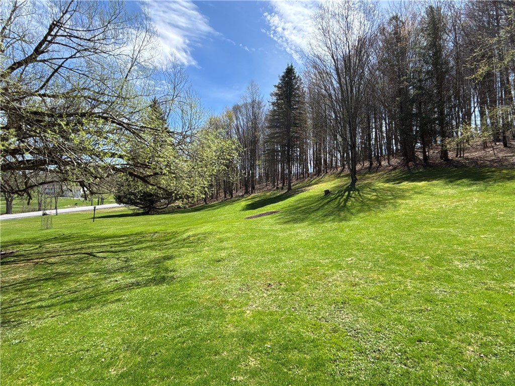 6815 County Highway 16, Franklin, New York image 48