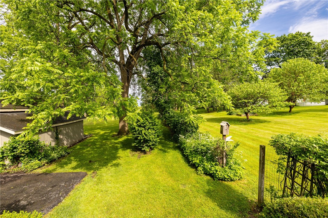 4 Park Place, East Bloomfield, New York image 36