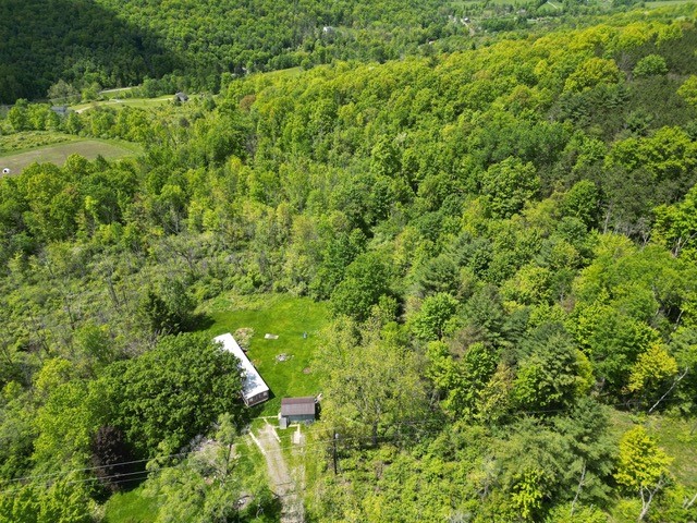 262 West Hill Road, Chemung, New York image 4