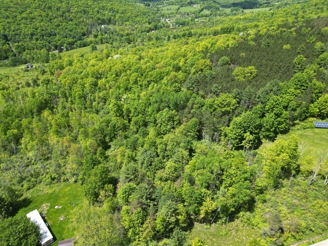 262 West Hill Road, Chemung, New York image 2