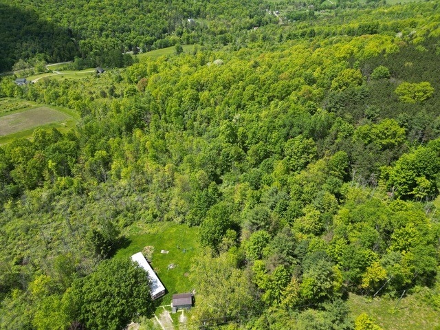 262 West Hill Road, Chemung, New York image 3