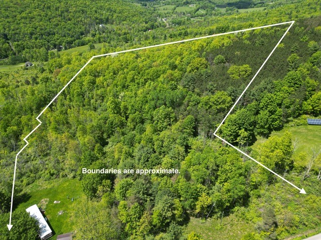262 West Hill Road, Chemung, New York image 1