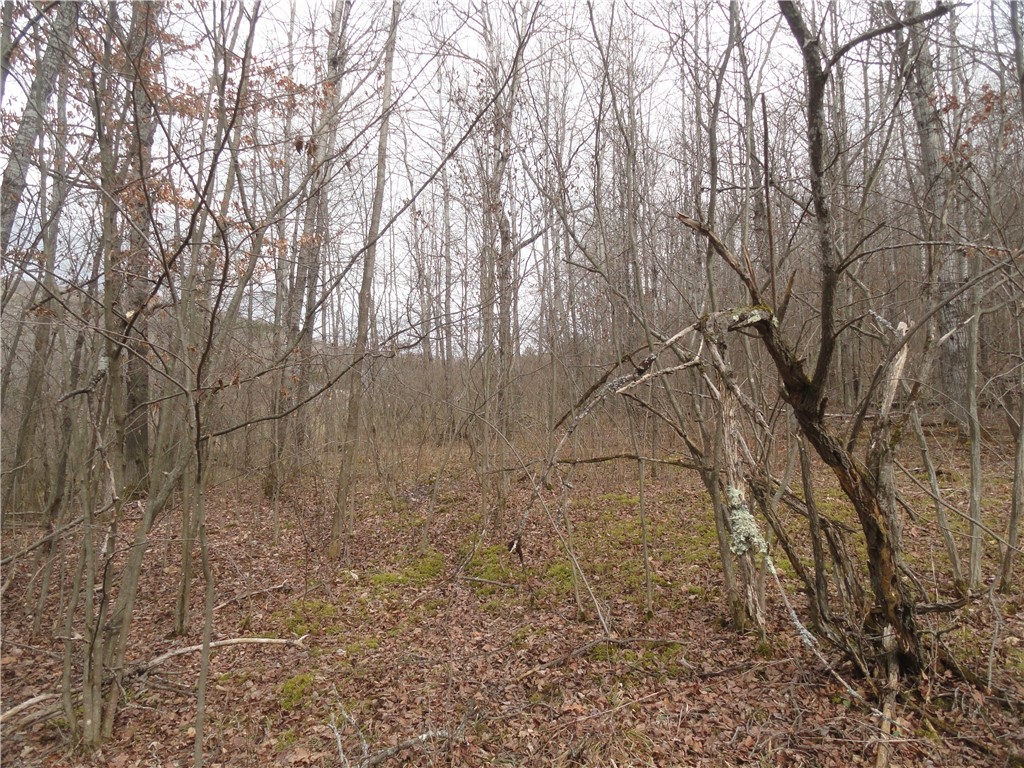 3282 Rock Run Rd Rd, Canisteo, New York image 10