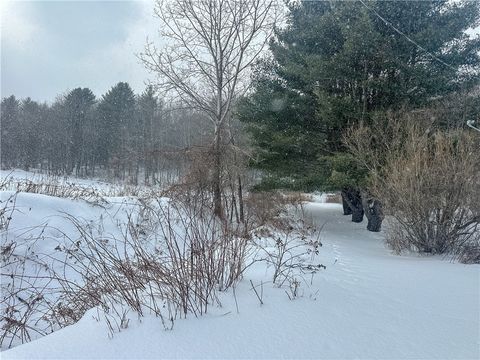 Photo of Buffalo Street, Wayland, NY 14572 (MLS # R1668217)